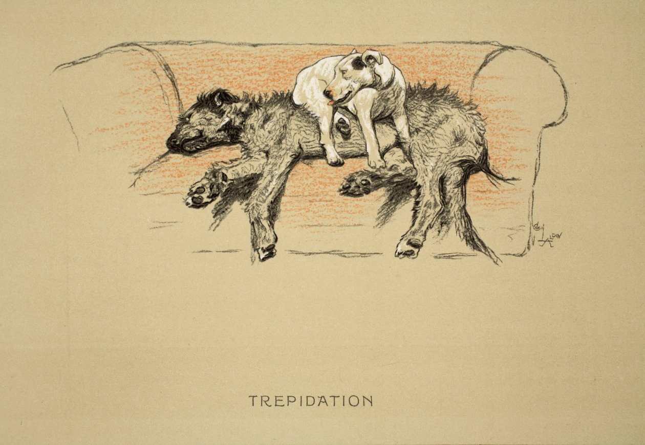Trepidatie, 1930, 1e editie van 