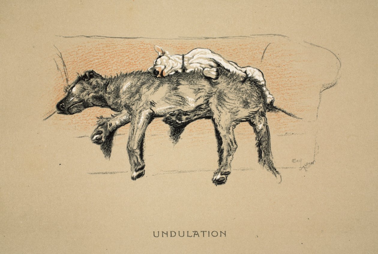 Undulation, 1930, 1e editie van 
