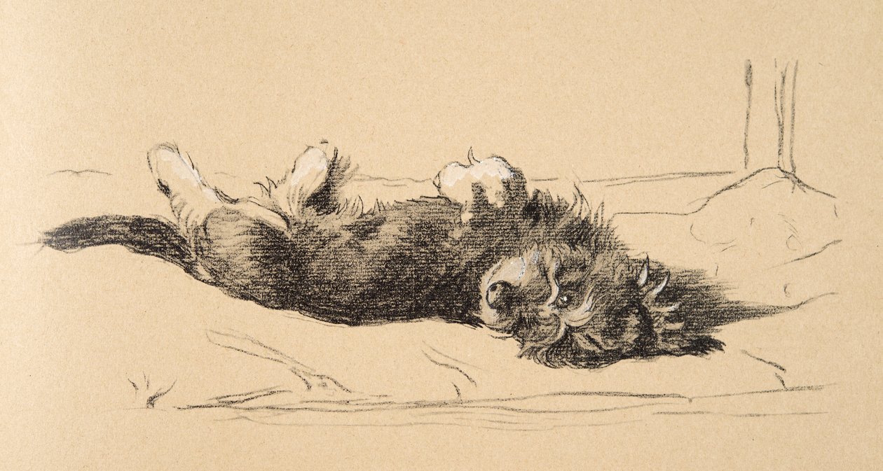 Ruwe Dashond Puppy (detail), 1930, Illustraties uit zijn Schetsboek gebruikt voor Just Among Friends, Aldin, Cecil Charles Windsor (1870-1935), later uitgegeven door Eyre and Spottiswoode Limited, 1934 door Cecil Charles Windsor Aldin