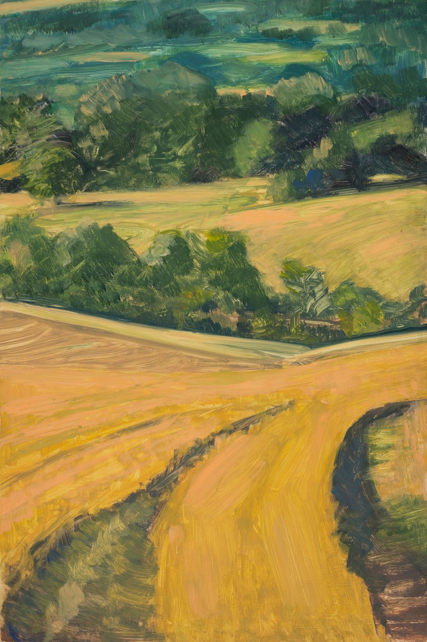 Het gouden uur, Cotswolds, 2013 (Olieverf op paneel) door Celia Montague