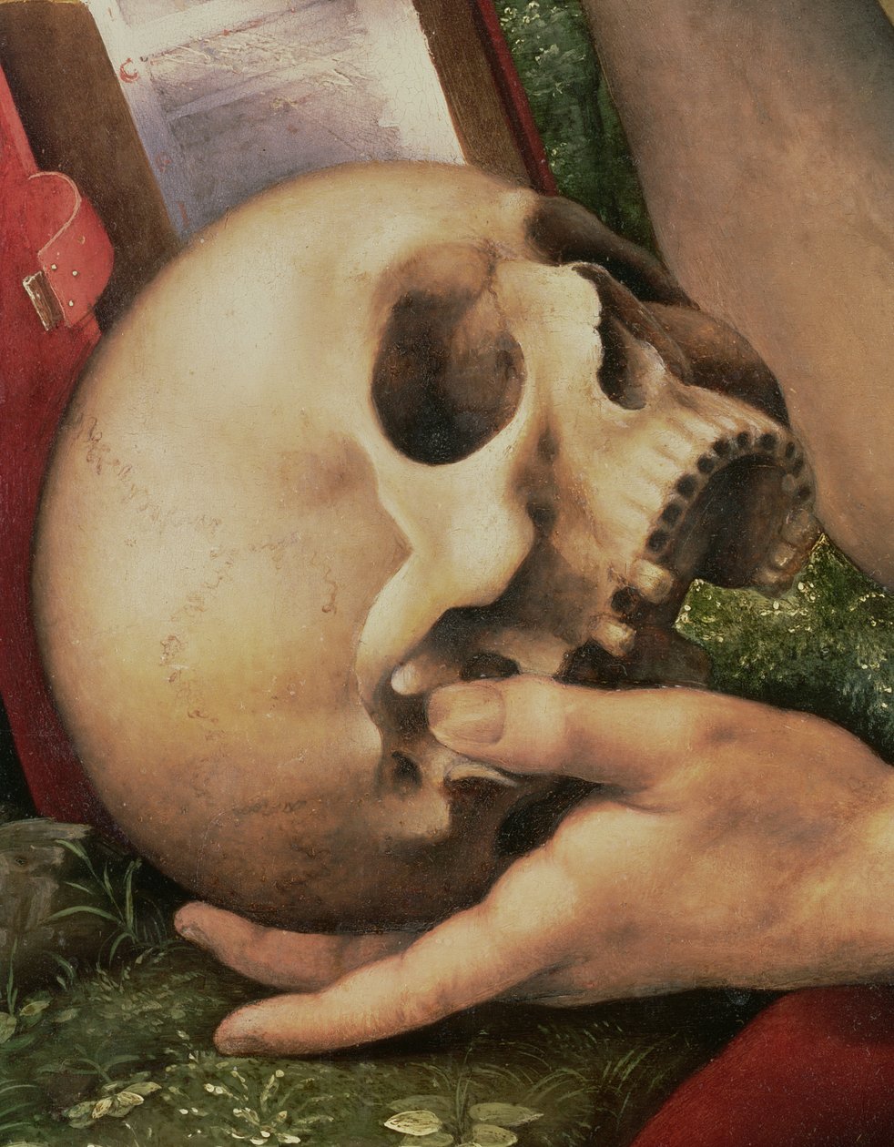 St. Hiëronymus, detail van de schedel (detail) door Cesare da Sesto