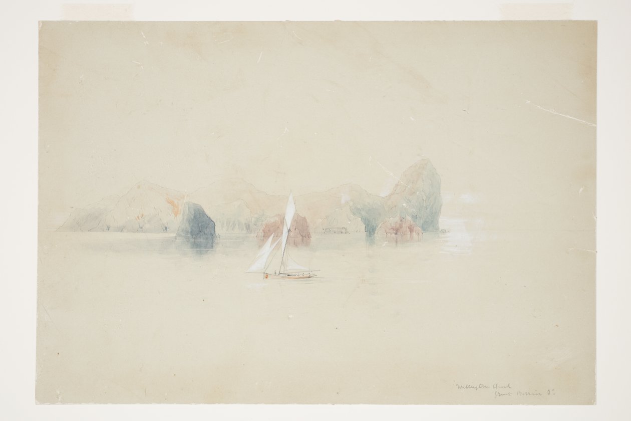 Wellington Head, Great Barrier Id. door Charles Heaphy