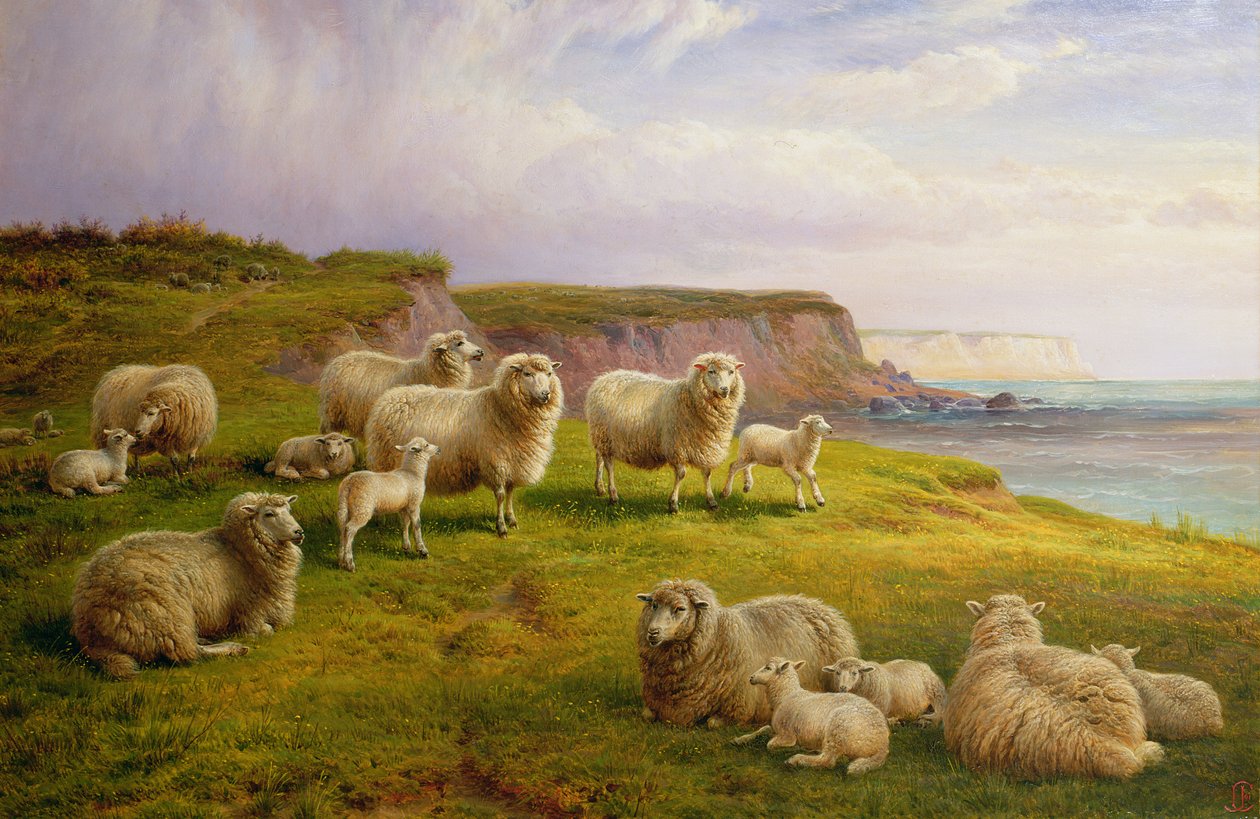 Schapen aan de kust van Dorset door Charles Jones