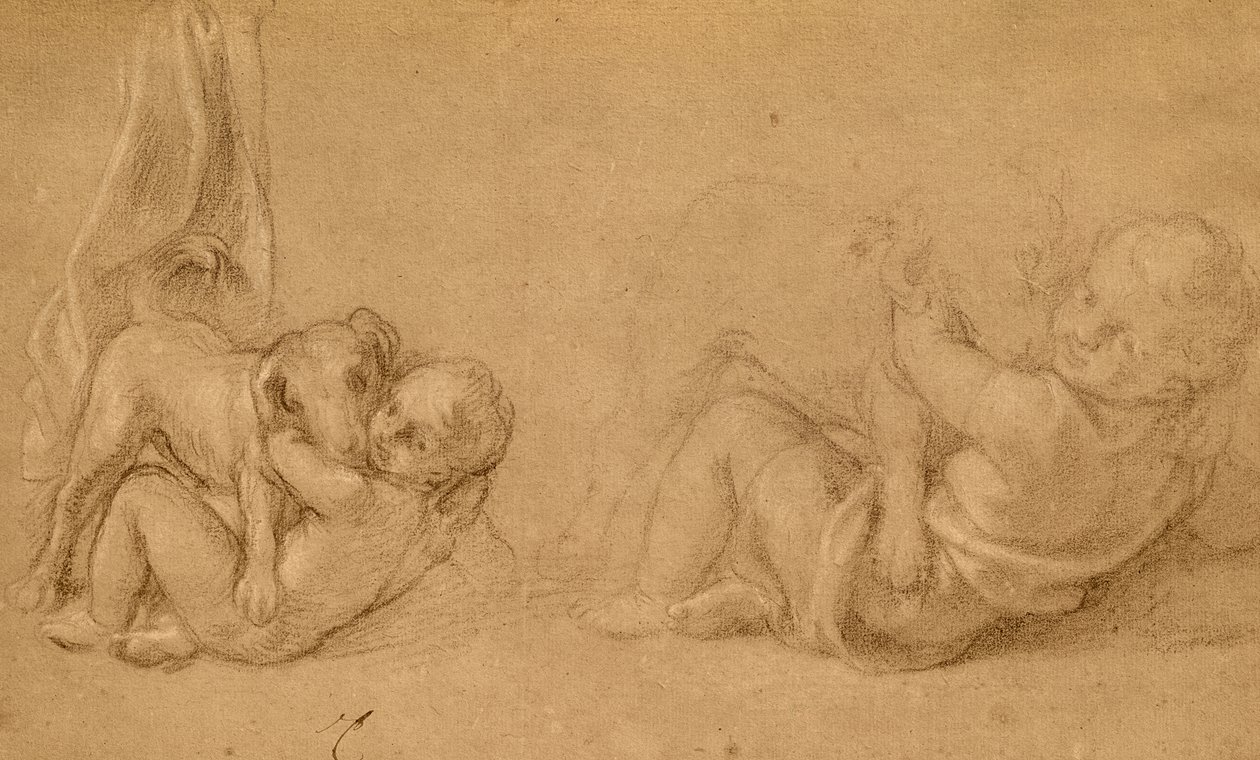Studie van een kind met een hond door Charles Le Brun
