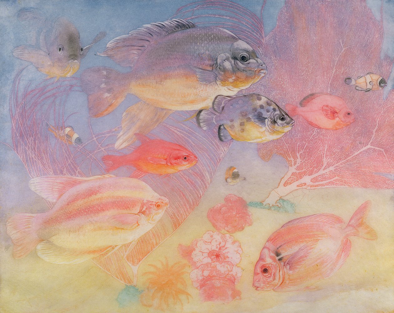 Tropische Vissen door Charles Maurice Detmold