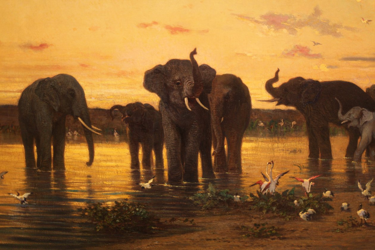 Afrikaanse olifanten door Charles Émile de Tournemine