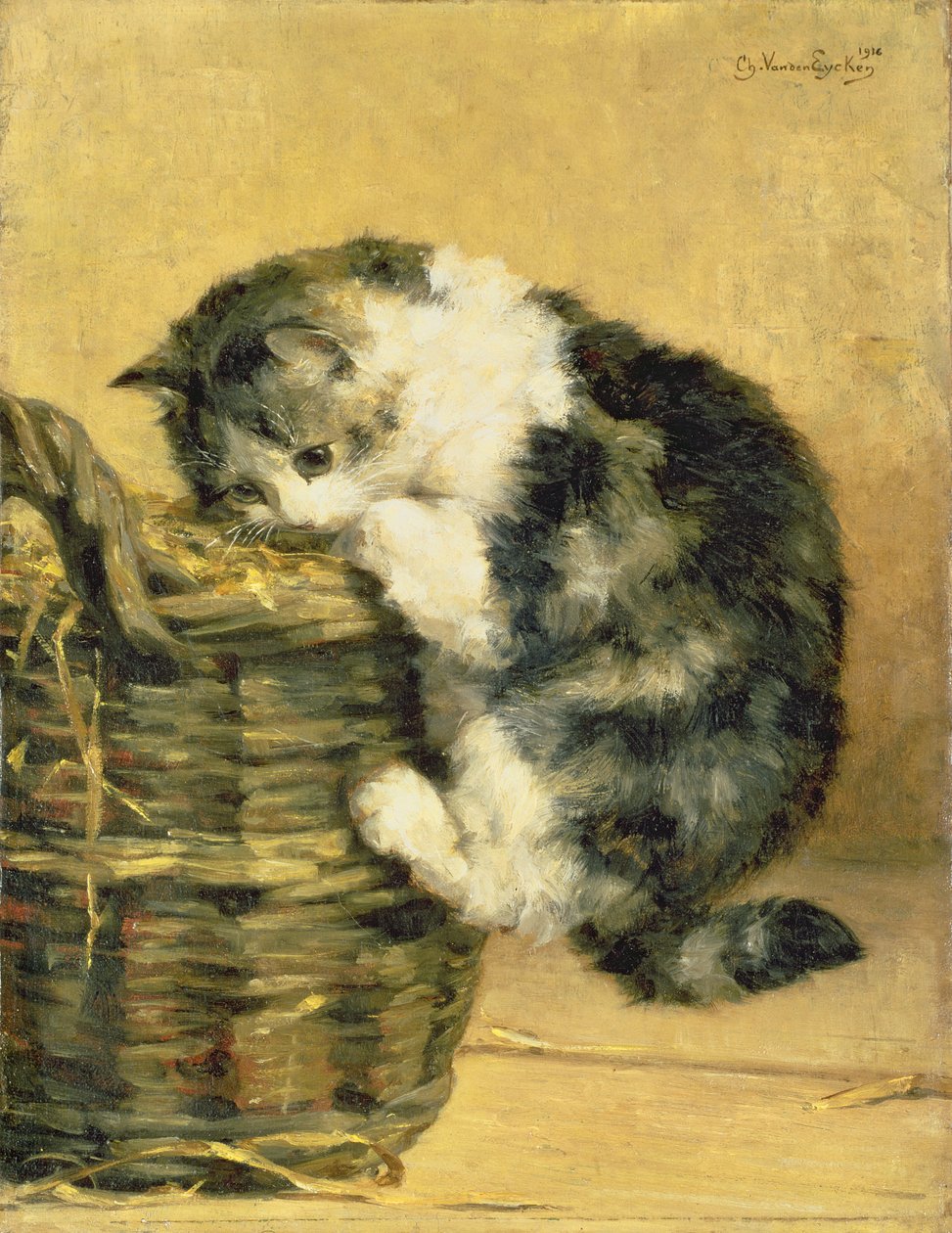 Kat met een mand door Charles van den Eycken