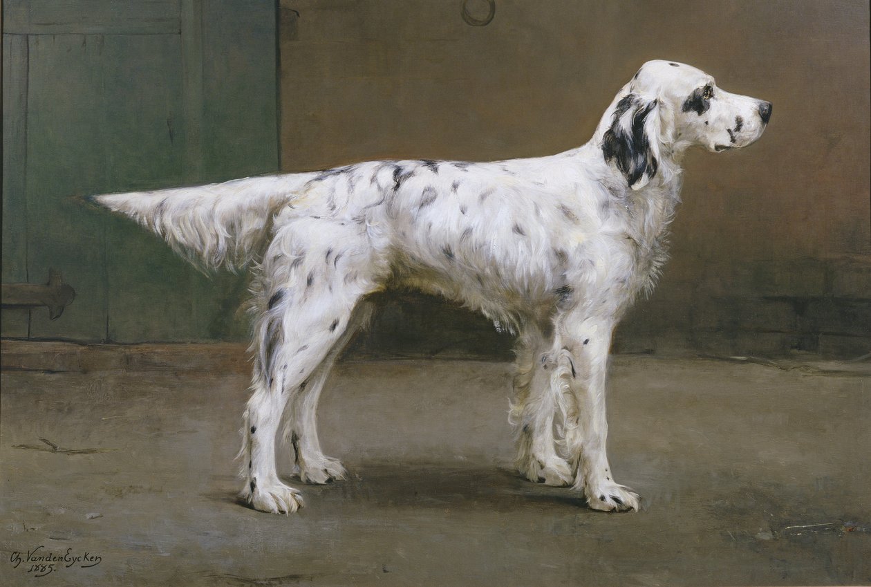 Portret van een hond, 1885 door Charles van den Eycken