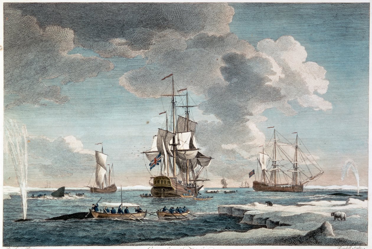 Groenlandse visserij, gegraveerd door John Boydell (1719-1804) 1754 (kleurengravure) door Charles (after) Brooking
