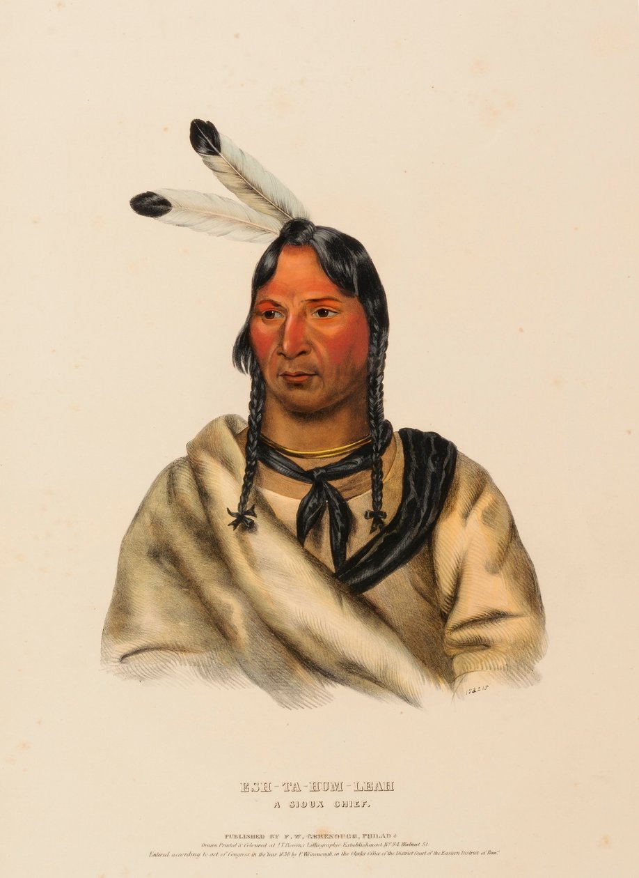 ESH-TA-HUM-LEAH. A SIOUX CHIEF, uit History of the Indian Tribes of North America door Charles Bird King
