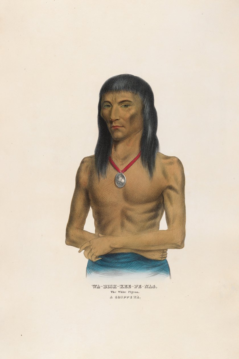 Wa-bish-kee-pe-nas - De witte duif door Charles Bird King