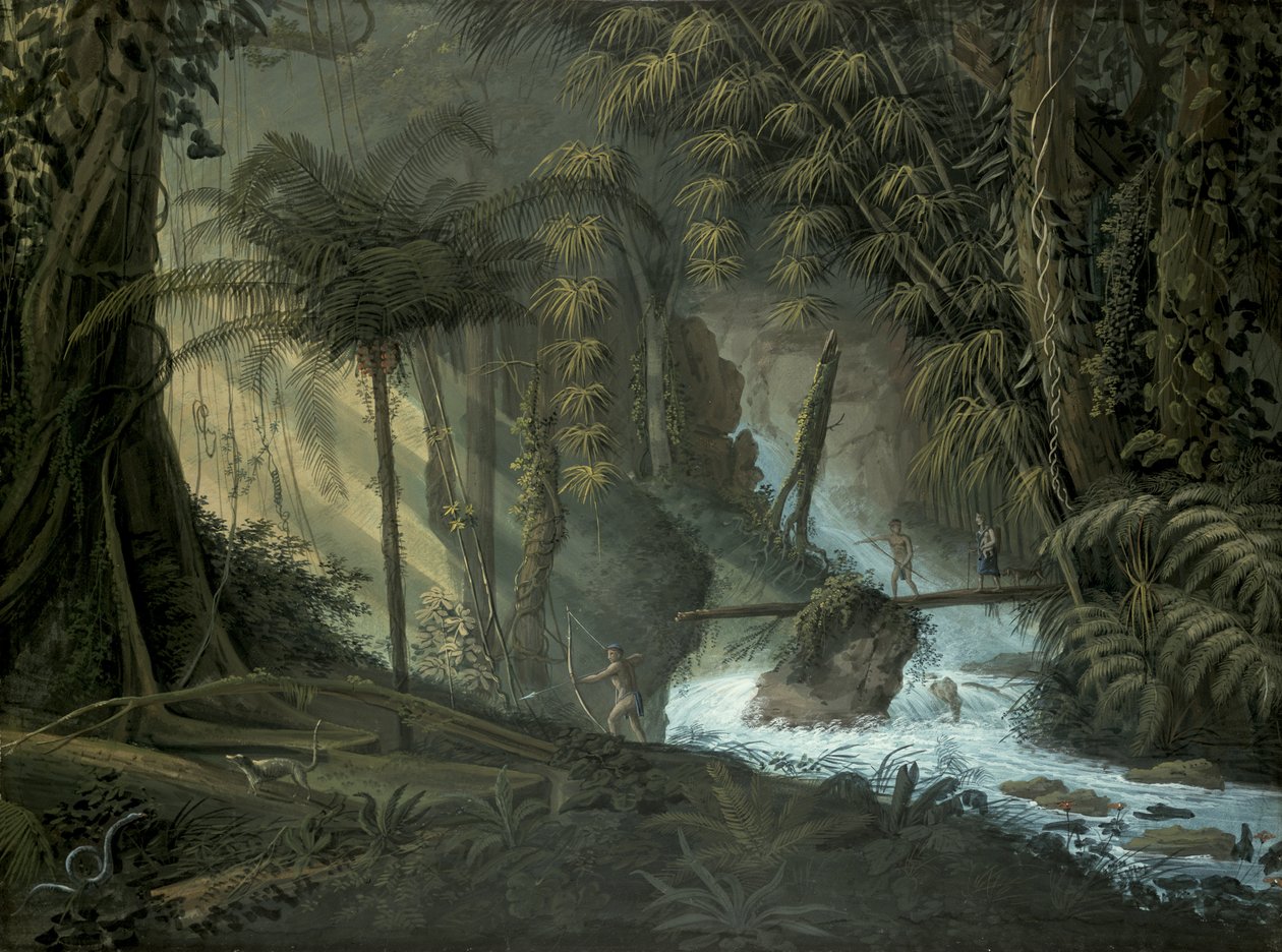 Braziliaans Bos door Charles Comte de Clarac