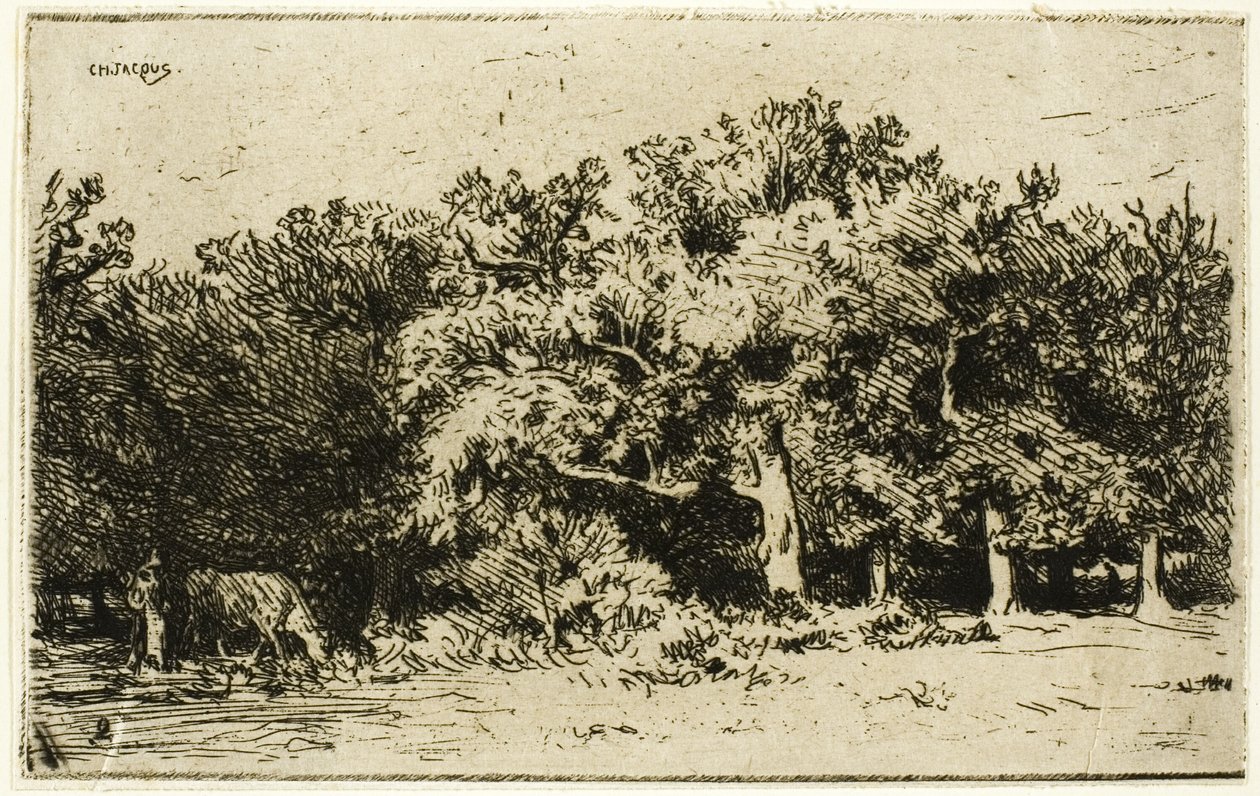 Een Deel van het Bos van Fontainebleau door Charles Emile Jacque