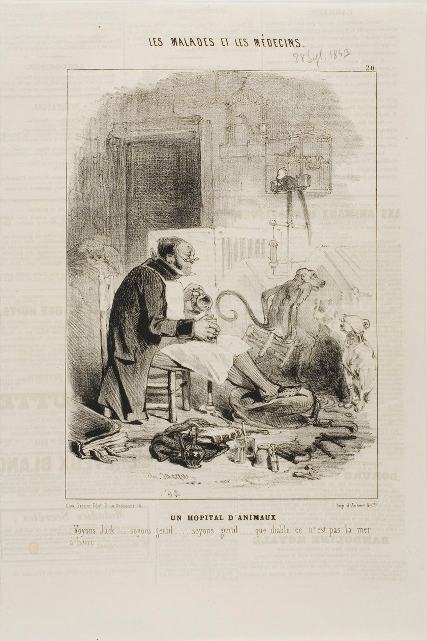 Een dierenziekenhuis (plaat 20) door Charles Emile Jacque