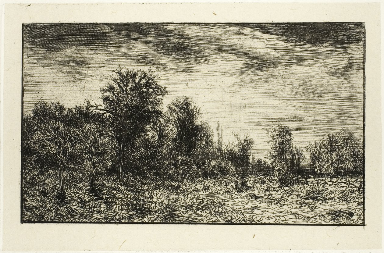 Rand van een Bos, onder Bewolkte Lucht door Charles Emile Jacque