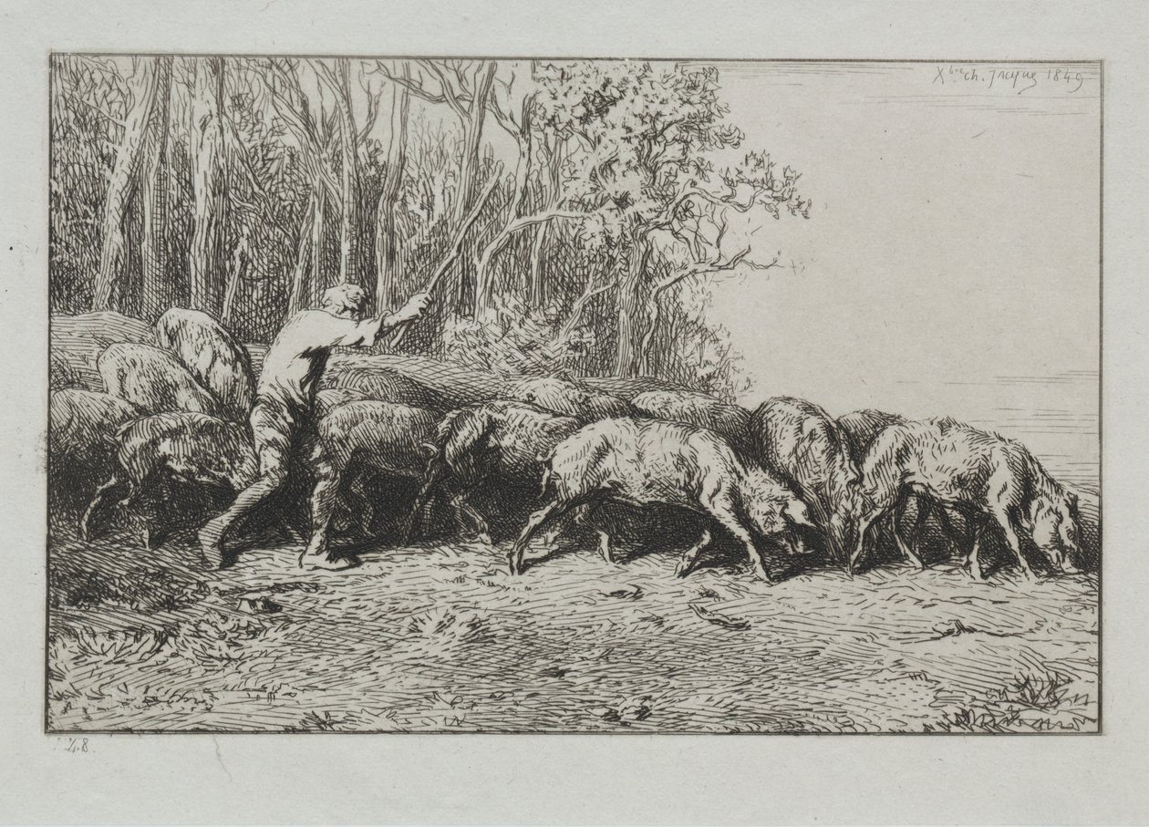 Kudde Varkens Verlaat een Bos door Charles Emile Jacque
