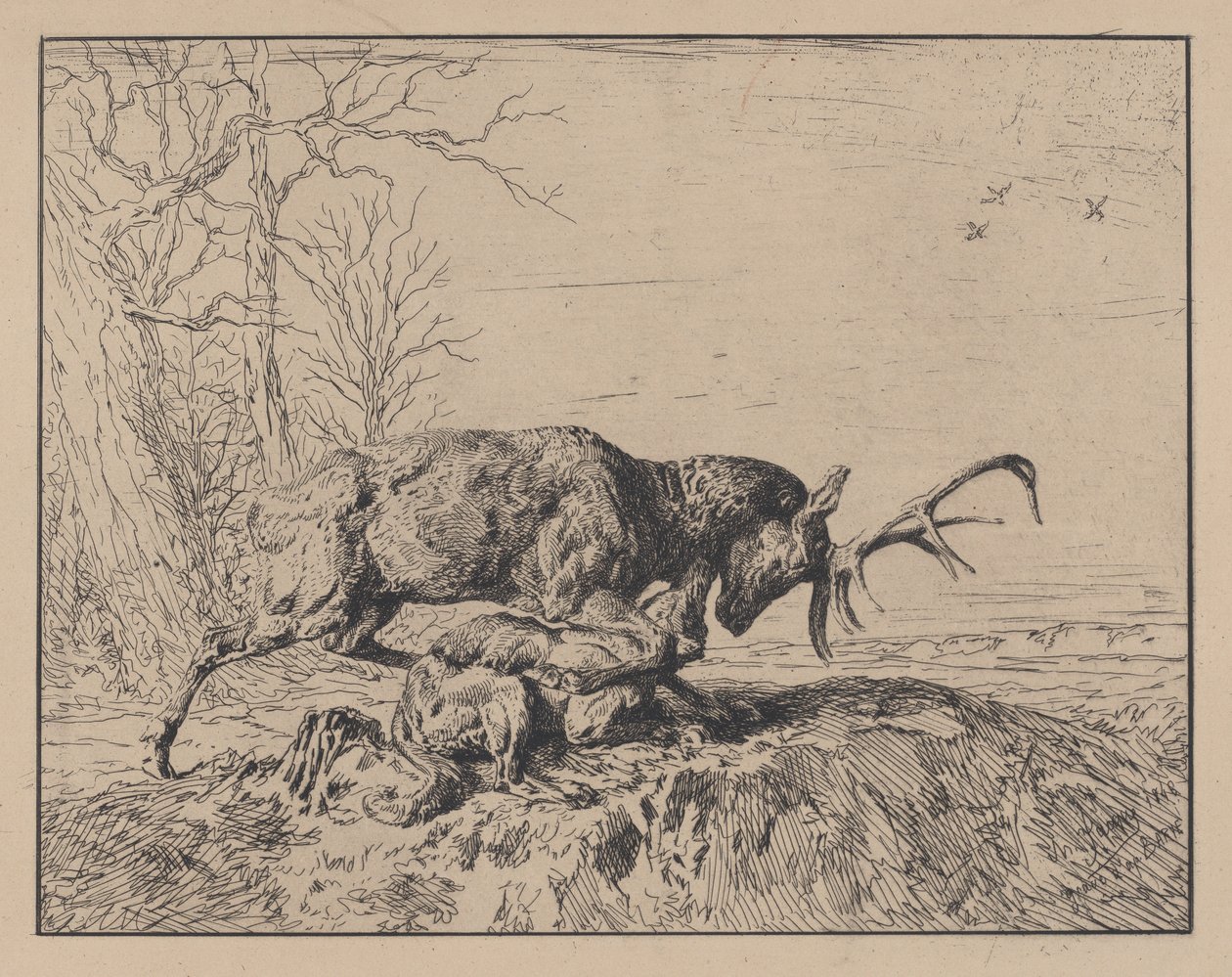 Hert vecht met een wolf, naar Antoine Louis Barye, 1846 door Charles Emile Jacque