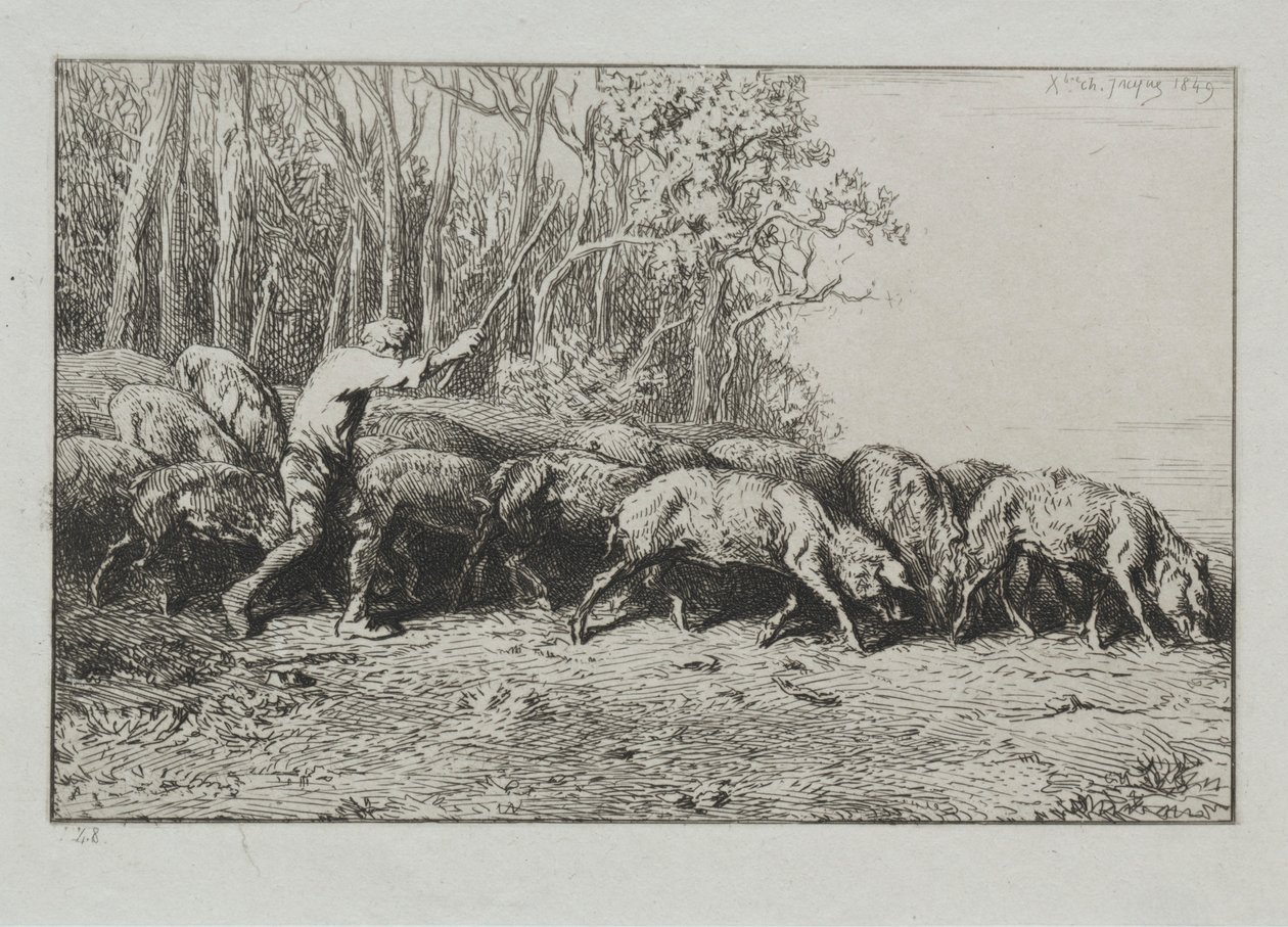 Kudde varkens die uit een bos komen door Charles Emile Jacque