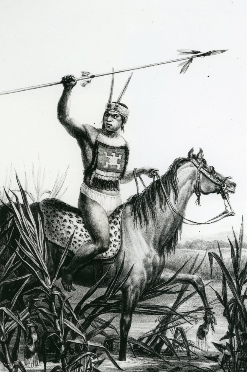 Hoofd van de Charruas uit 