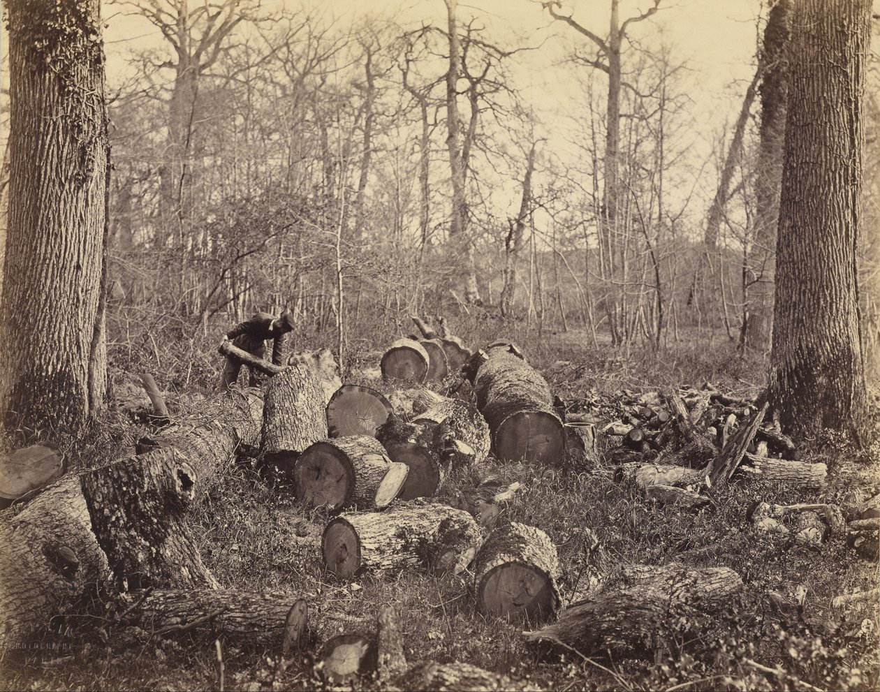 Bos van Fontainebleau door Charles Famin