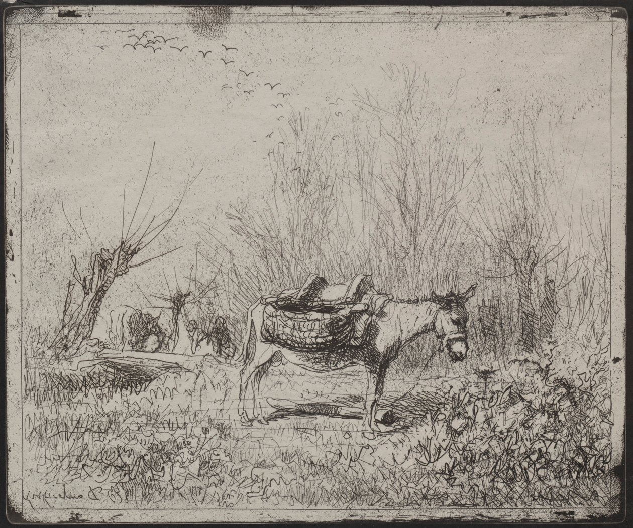 Een ezel in het veld, originele indruk 1862, gedrukt in 1921 door Charles Francois Daubigny