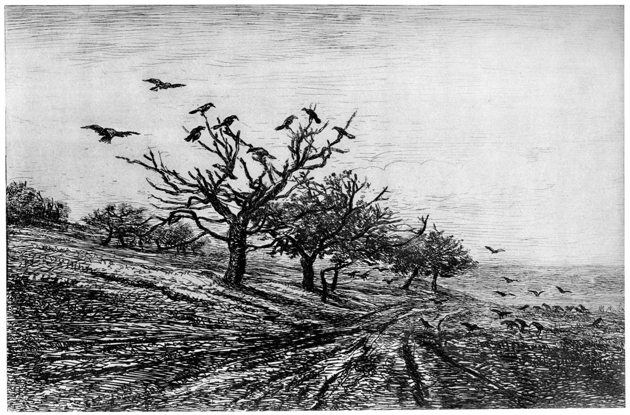 Arbre à Corbeaux, 1840-1875, 1924 door Charles Francois Daubigny