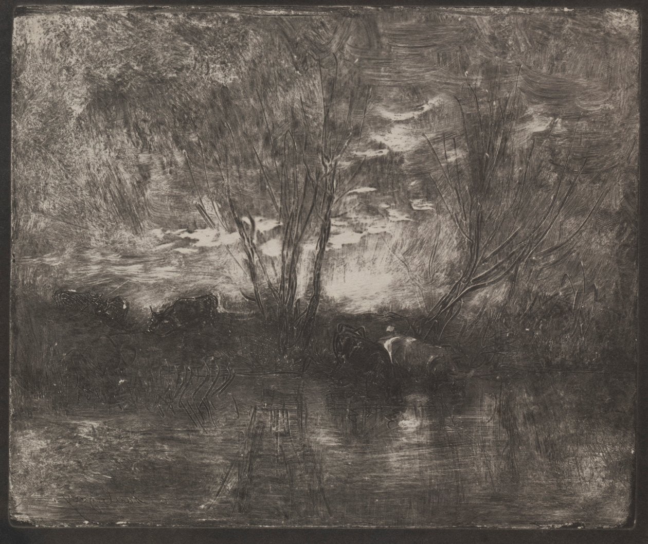 Koeien bij een drinkplaats, originele indruk 1862, gedrukt in 1921 door Charles Francois Daubigny