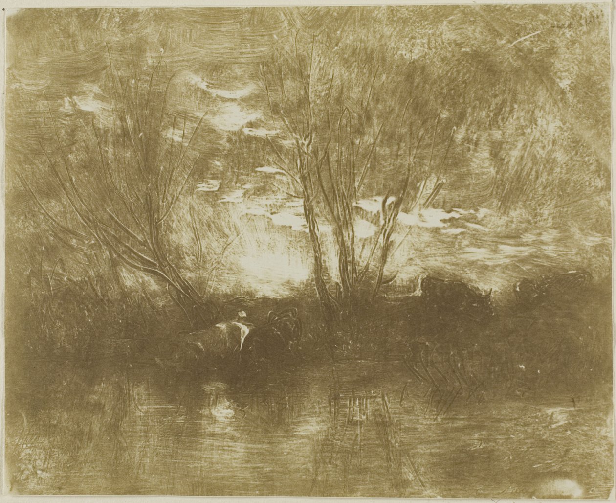 Koeien bij de drinkplaats door Charles Francois Daubigny