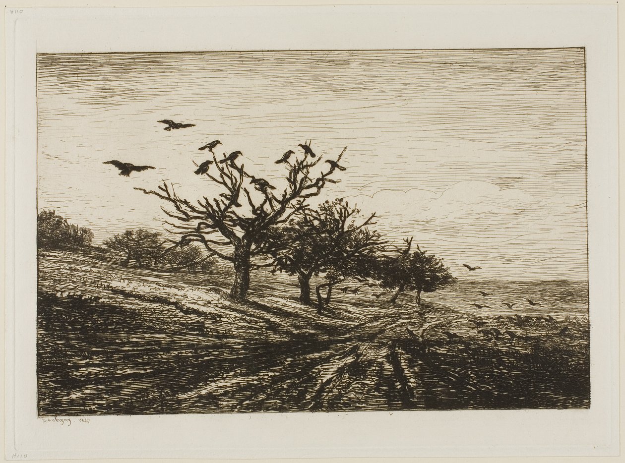 Kraaien in een boom door Charles Francois Daubigny
