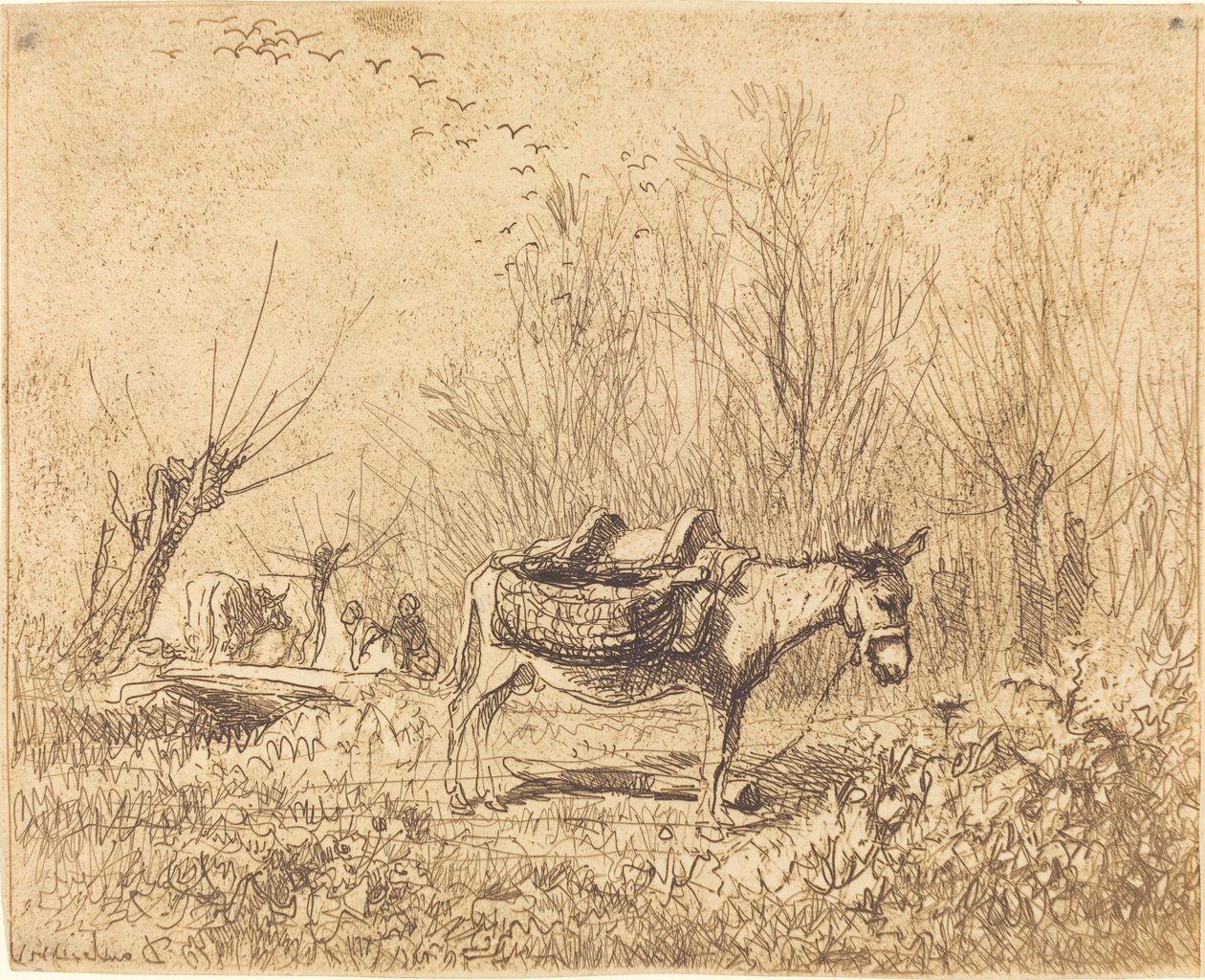 Ezel in een Veld door Charles Francois Daubigny