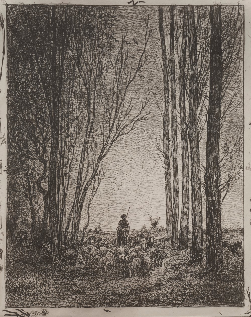 Verzamelen van de kudde, originele indruk 1862, gedrukt in 1921 door Charles Francois Daubigny