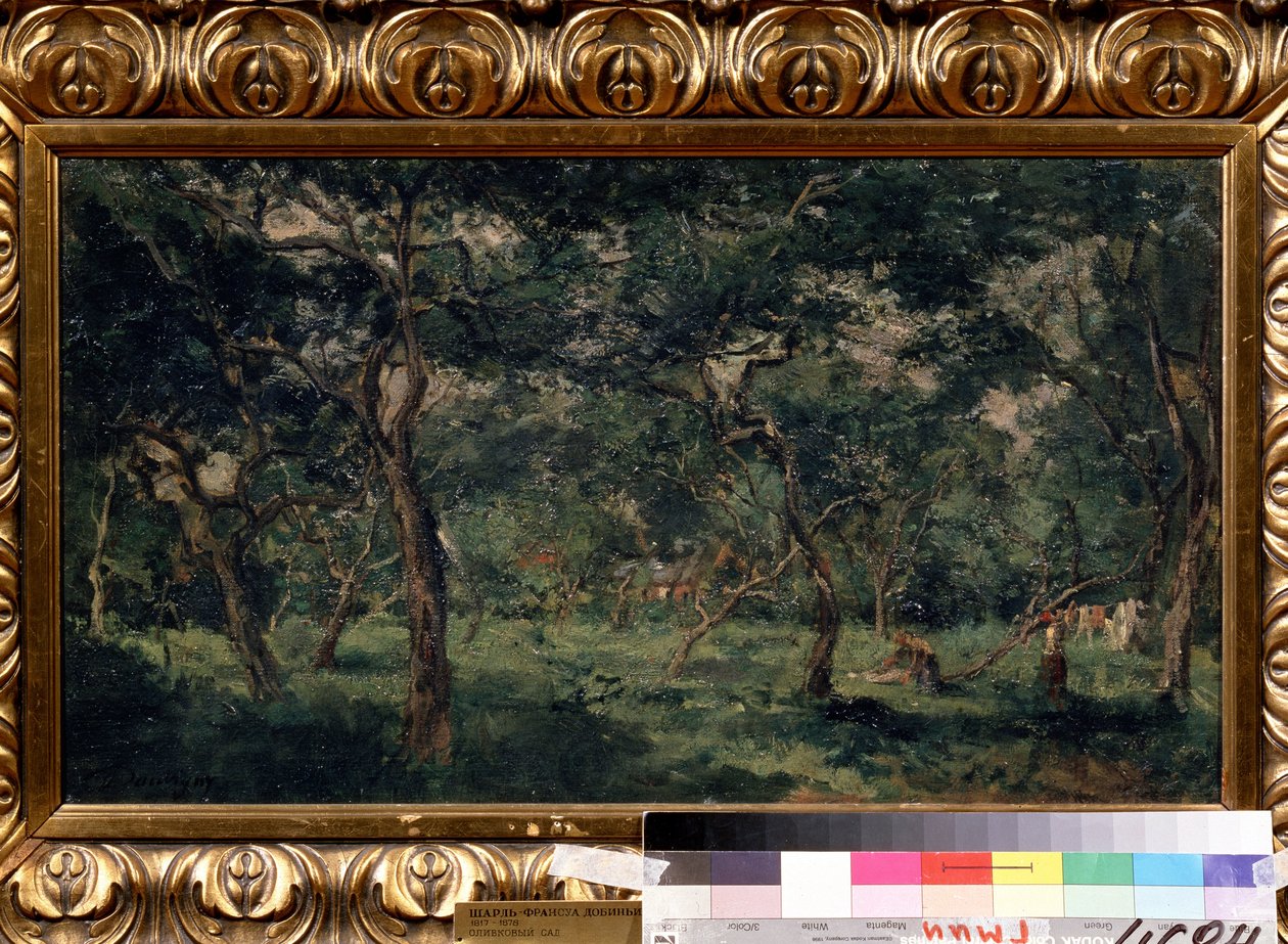 De olijfgaard. Schilderij van Charles Francois Daubigny (1817-1878) door Charles Francois Daubigny