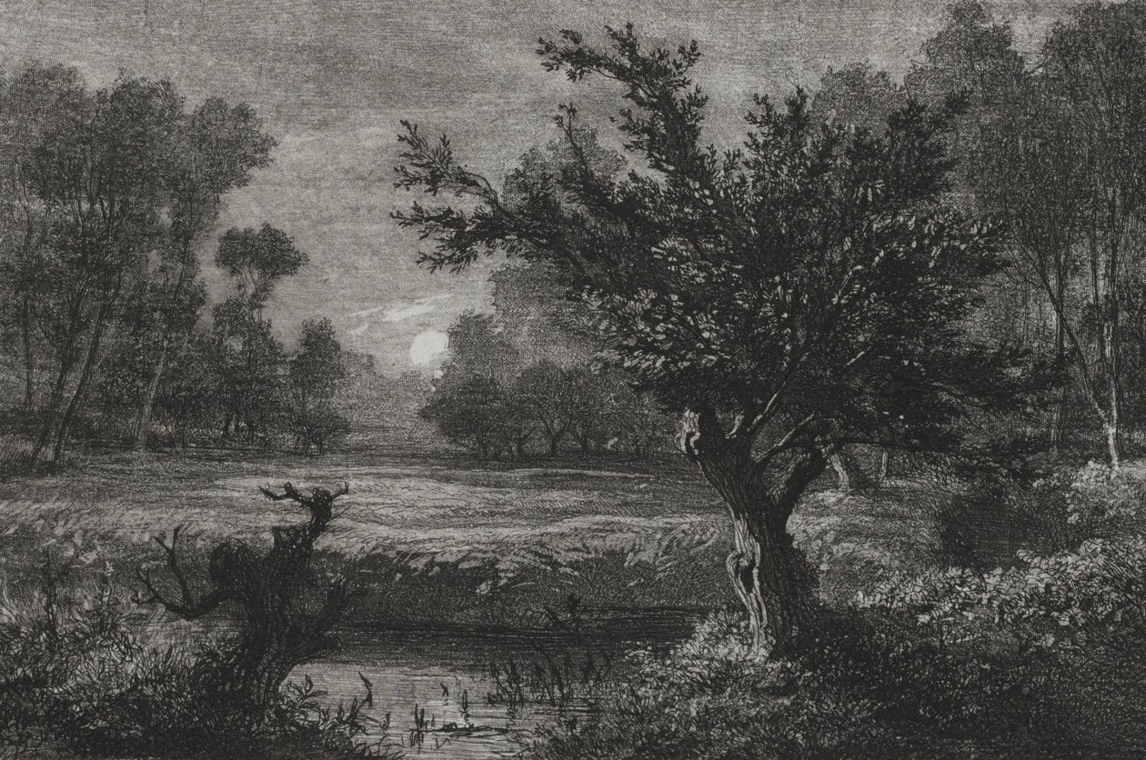 Maanopkomst in de Andilly-vallei door Charles Francois Daubigny