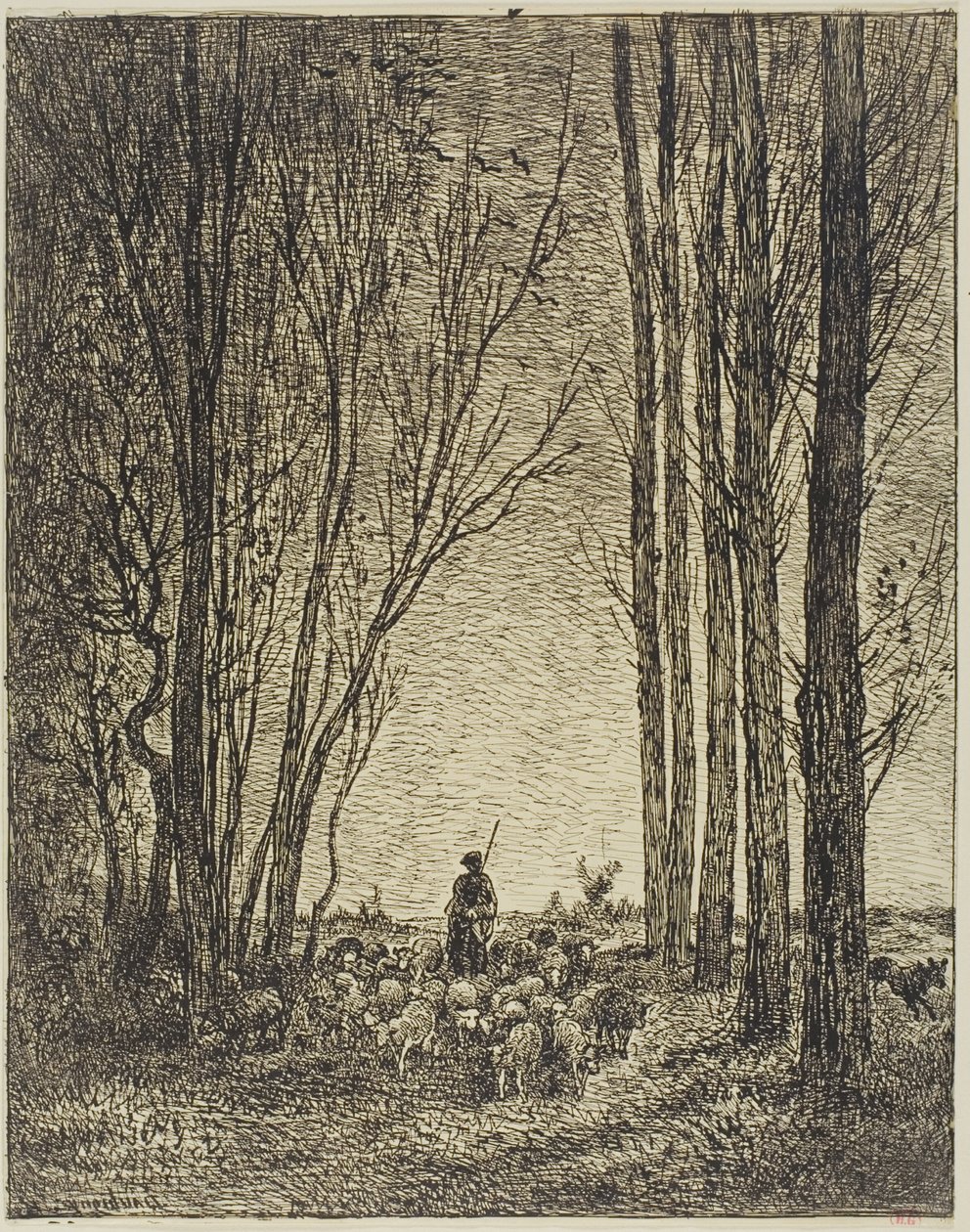 Terugkeer van de Kudde door Charles Francois Daubigny