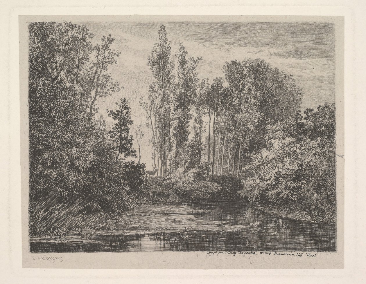 Herten aan de waterkant, 1850 door Charles Francois Daubigny