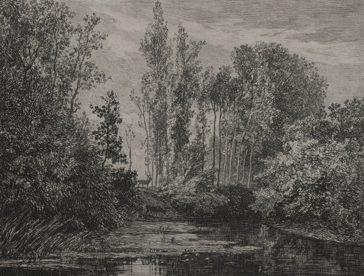 Herten aan de waterkant, 1850 door Charles Francois Daubigny