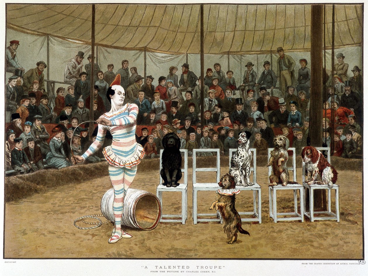 De geleerde honden: circusscène met clown en honden - naar Charles Green, Engelse chromo 1885 door Charles Green