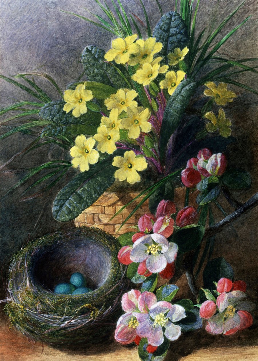 Appelbloesems en Primula