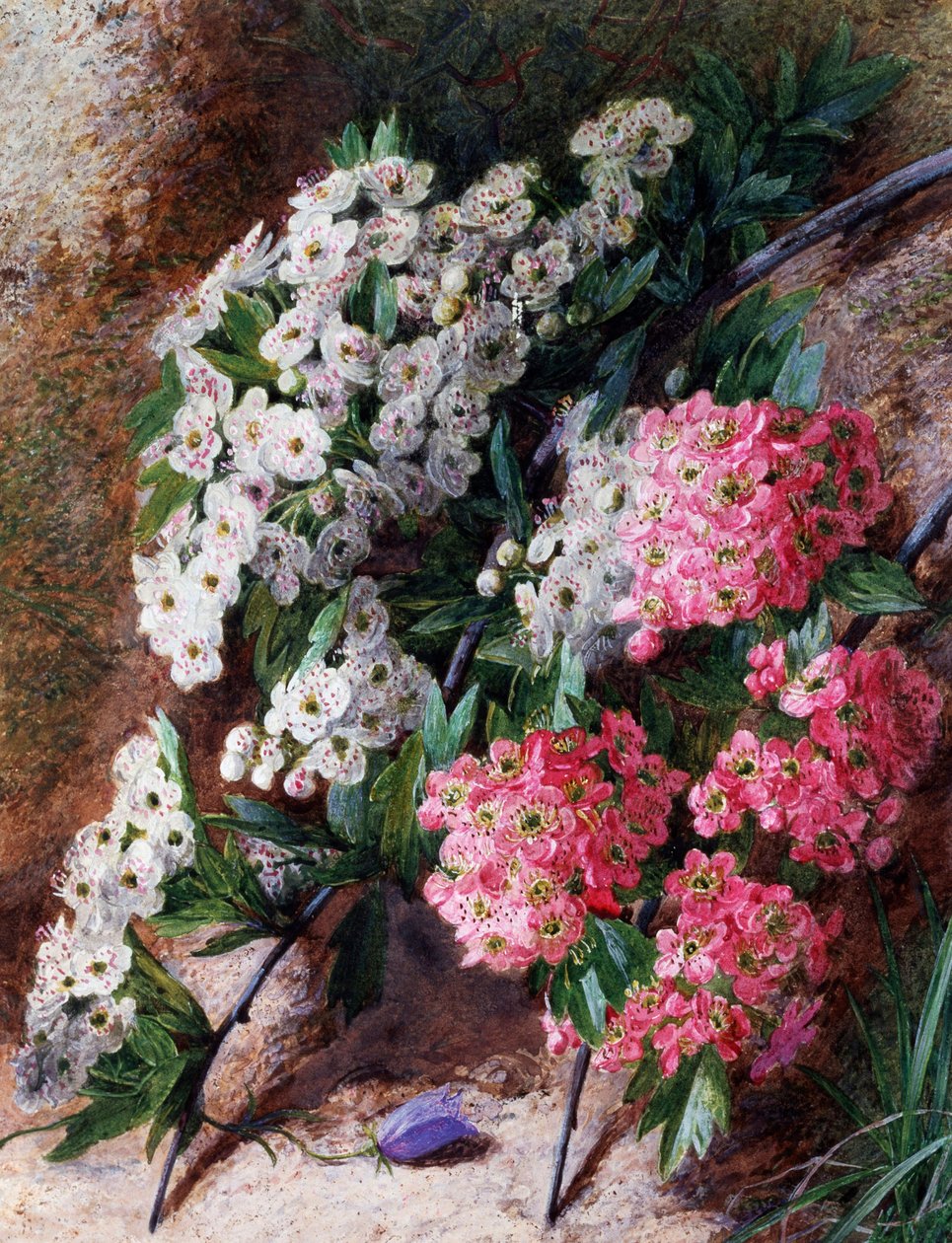 Bloemen. Schilderij van Charles Henry Slater (1820-1890) Privécollectie door Charles H. Slater