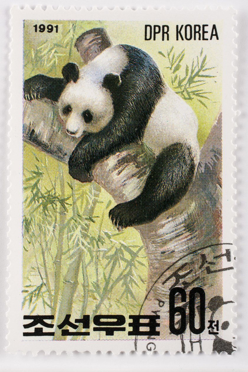 Postzegel Noord-Korea Ailuropoda melanoleuca Reuzenpanda door Augustus Kollner