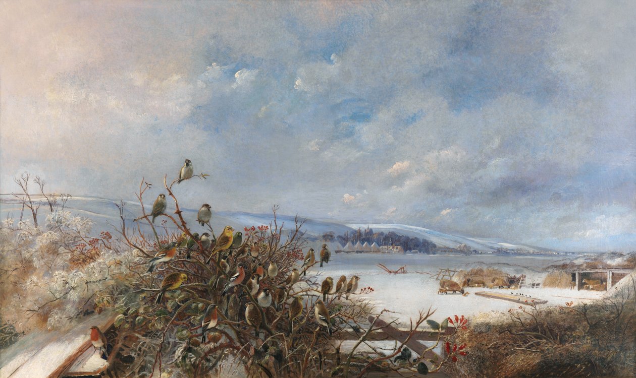 Vogels van een Veer door Charles Henry Clifford Baldwyn