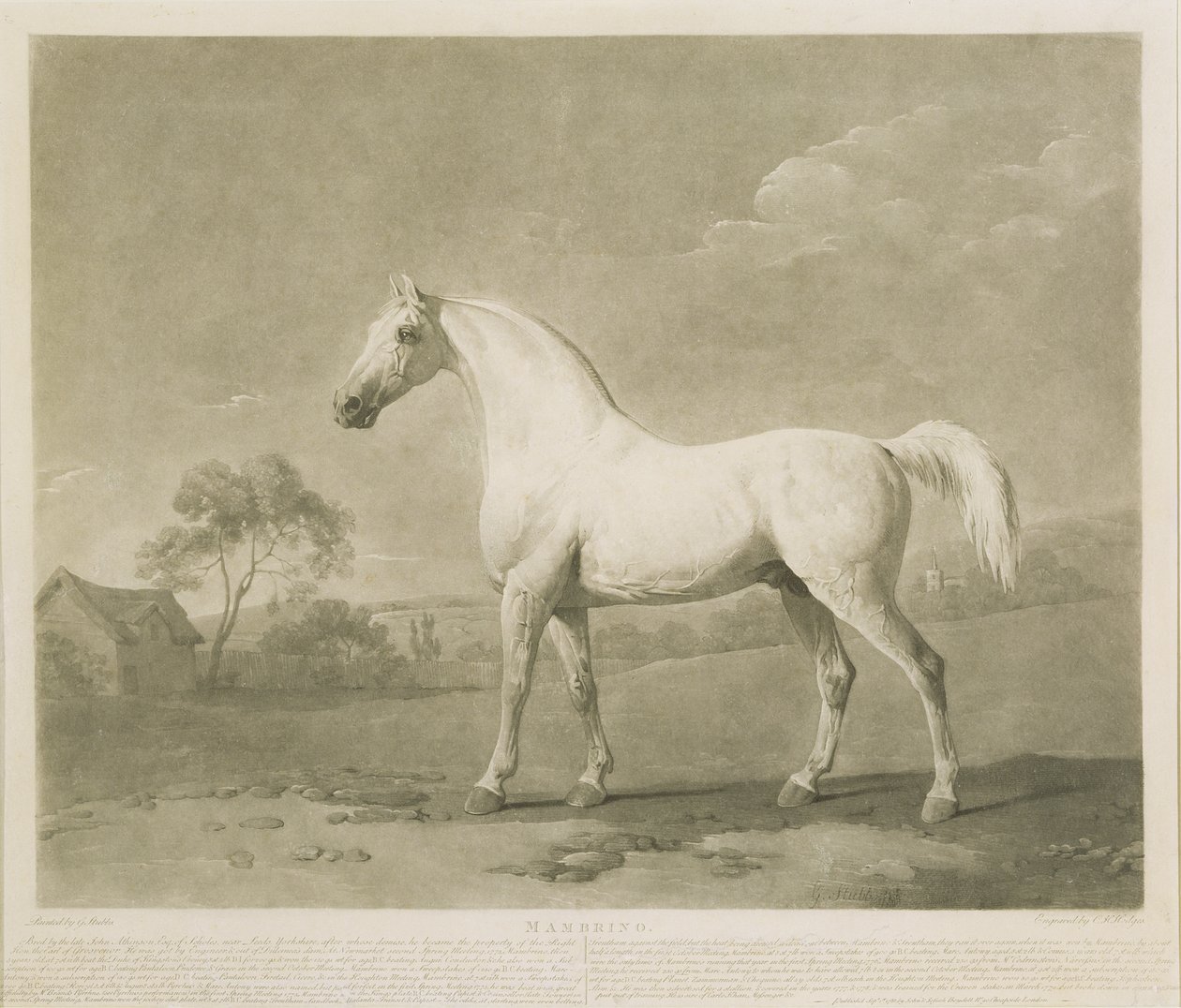 Mambrino, naar George Stubbs, 1788 door Charles Howard Hodges
