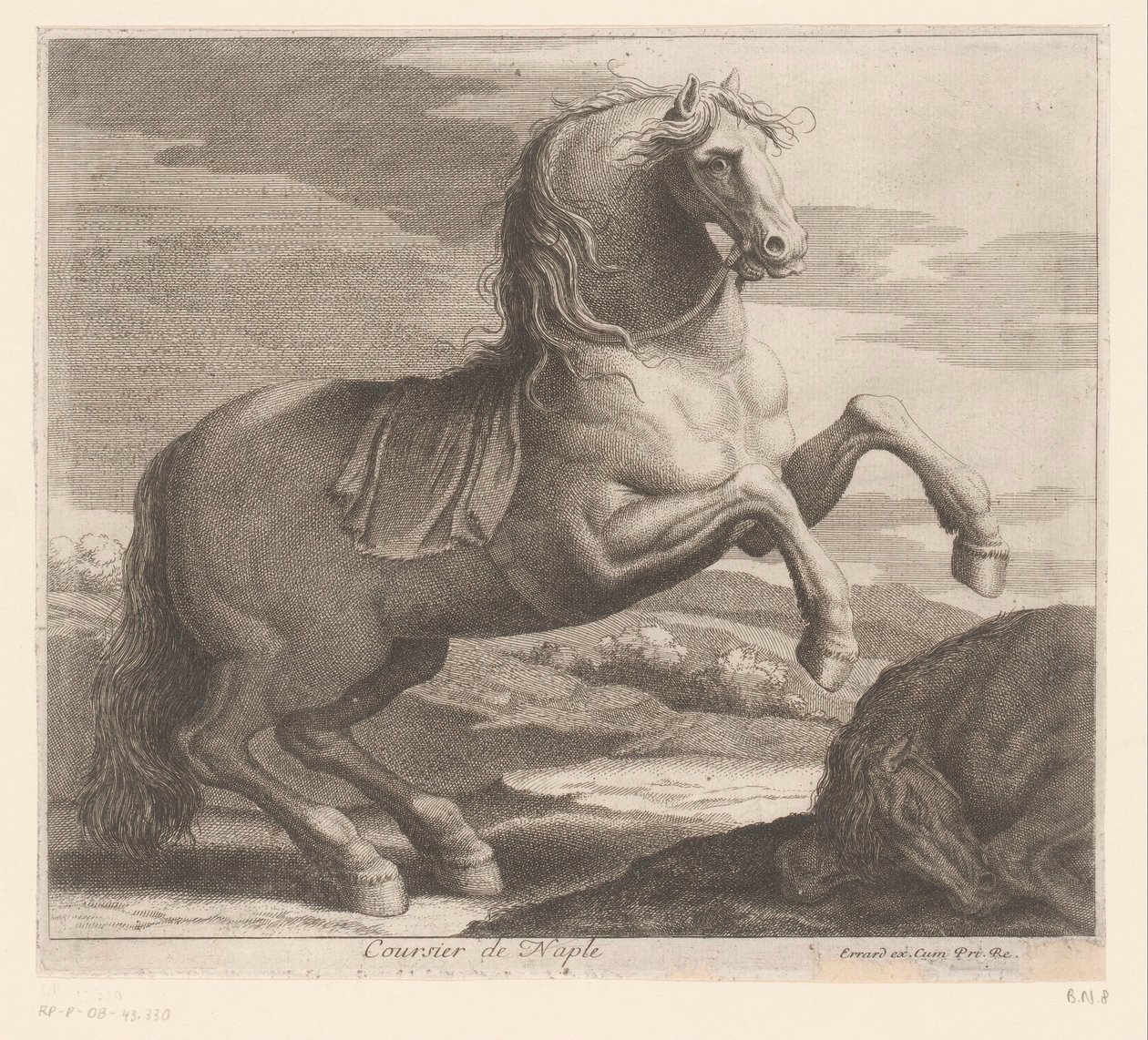 Steigerend paard door Charles II Errard (attributed to)