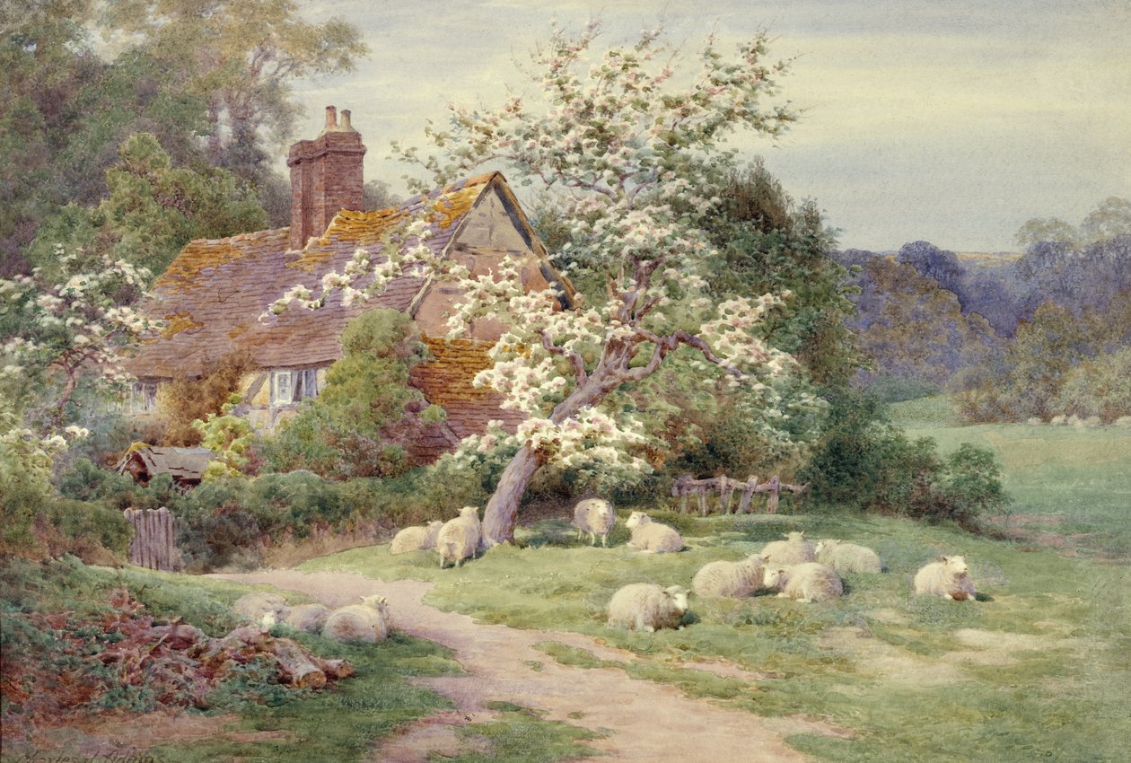 Schapen buiten een huisje in de lente door Charles James Adams