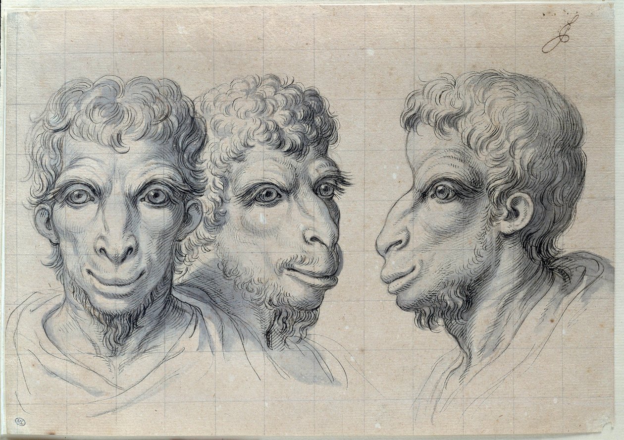Studies van drie mannenhoofden die doen denken aan de fysiognomie van de kameel. Tekening door Charles Lebrun. 17e eeuw. Parijs, Louvre Museum door Charles Le Brun