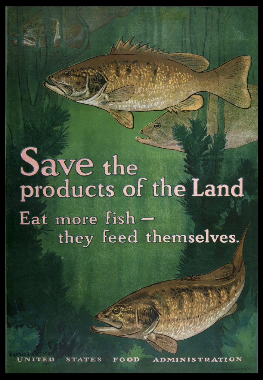 Red de Producten van het Land, Eet Meer Vis, 1914-18 door Charles Livingston Bull