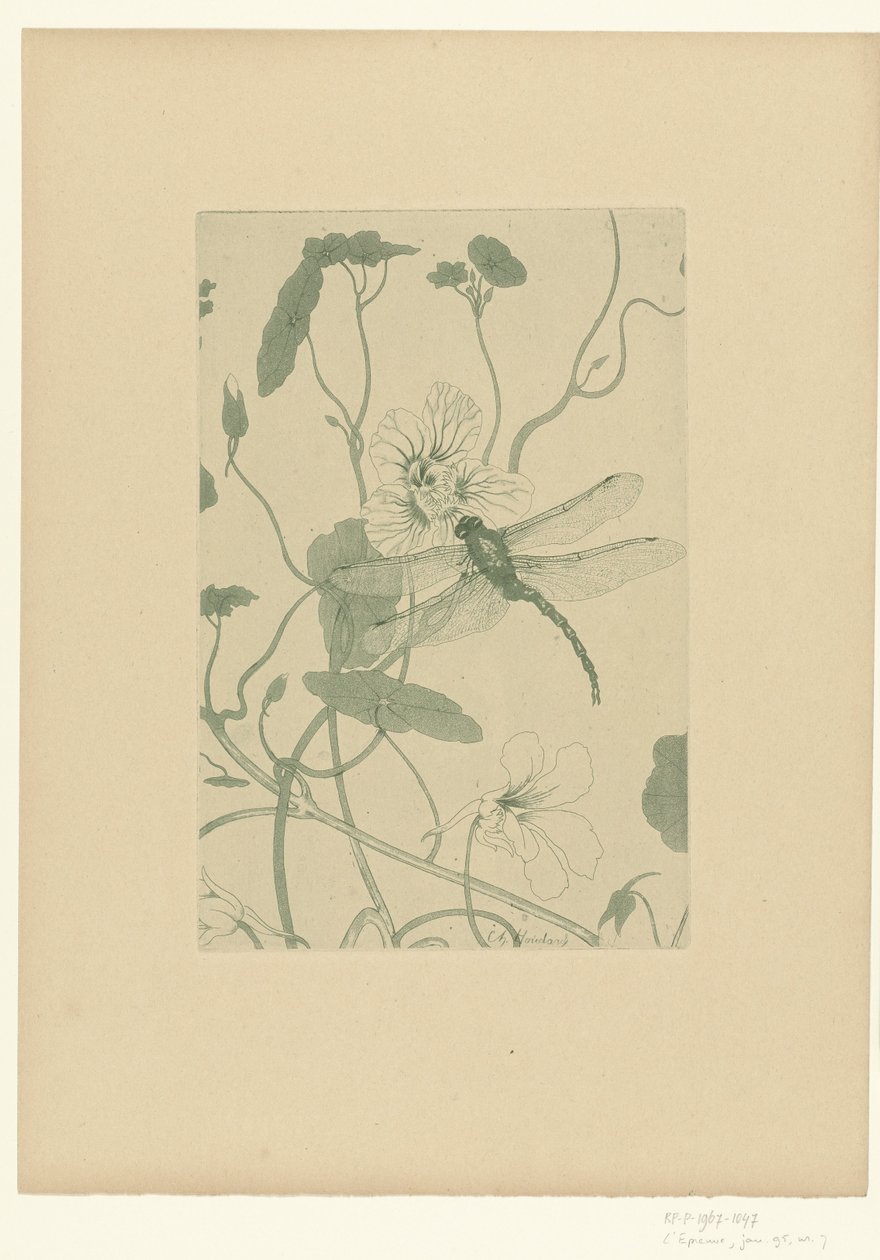 Libelle op bloem van Oostindische kers door Charles Louis Houdard