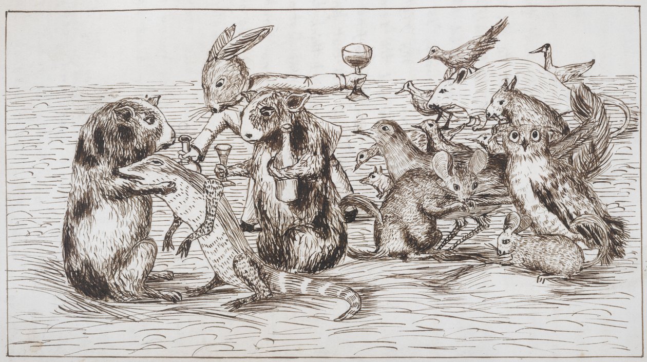 De cavia