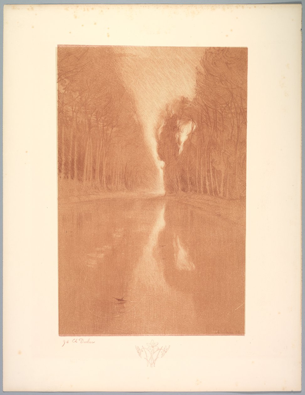 Suite de Paysages: Landschap, Plaat 2, Remarque, Sterrenbloemen, 1892-1893 door Charles Marie Dulac