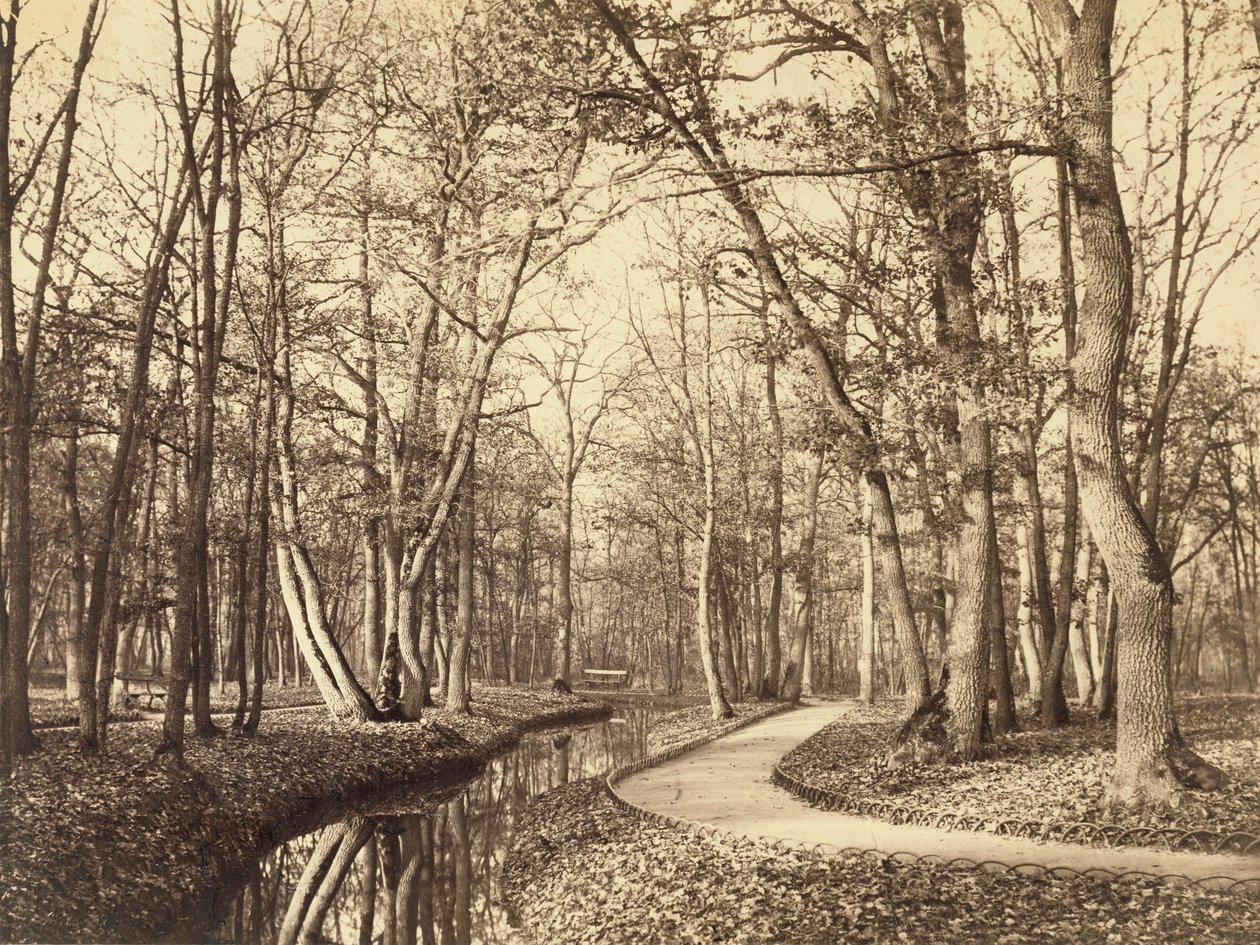 Bois de Boulogne, Parijs door Charles Marville